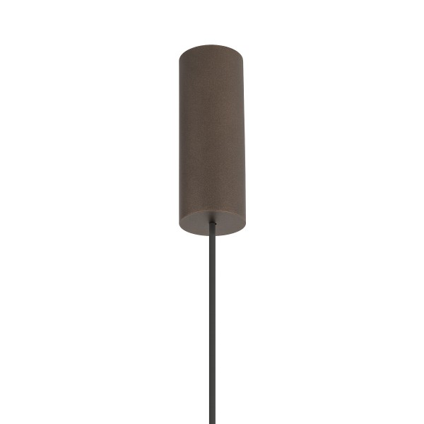 AMARELA M 11659 Nowodvorski