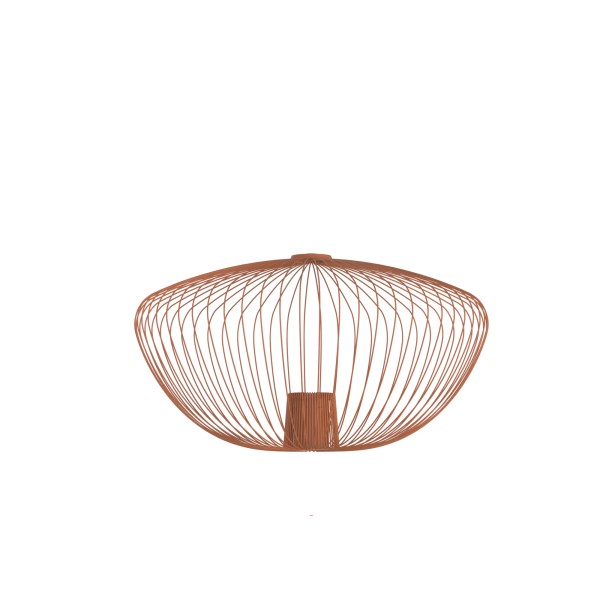 CAMELEON PUMPKIN M 12038 Nowodvorski