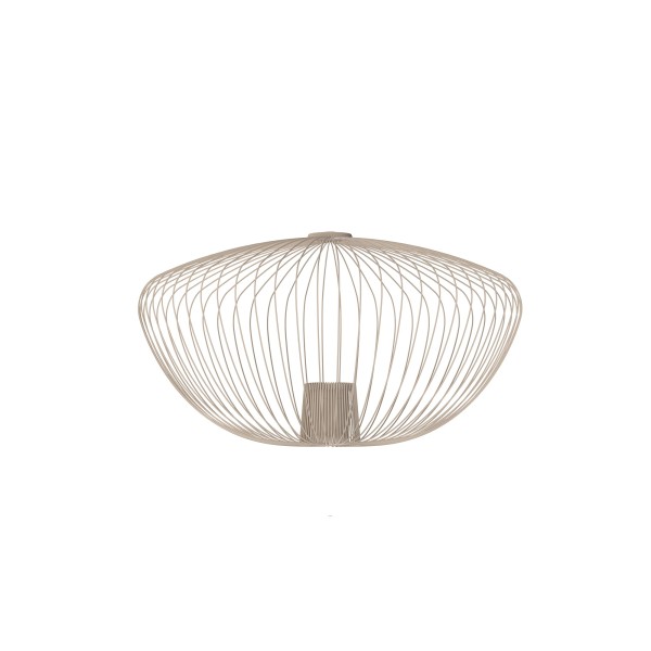 CAMELEON PUMPKIN M 12040 Nowodvorski