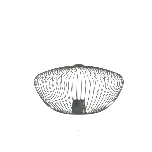 CAMELEON PUMPKIN M 12041 Nowodvorski