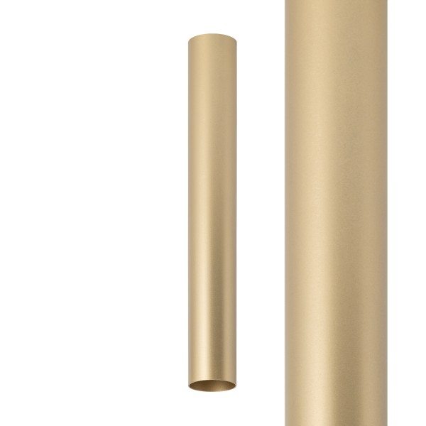 CAMELEON FOURTY M 12142 Nowodvorski