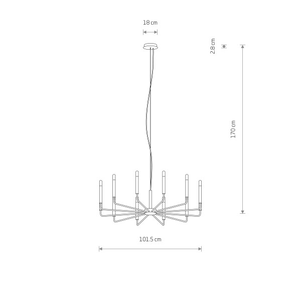 ORTO black B XII 11464 Nowodvorski