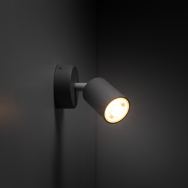 LIVIA grey I 10223 TK Lighting